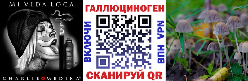 купить наркотик  Агрыз  Галлюциногенные грибы мицелий 